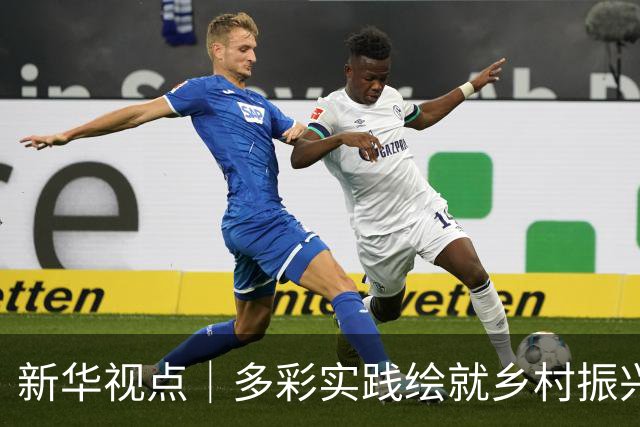 新华视点｜多彩实践绘就乡村振兴新图景
